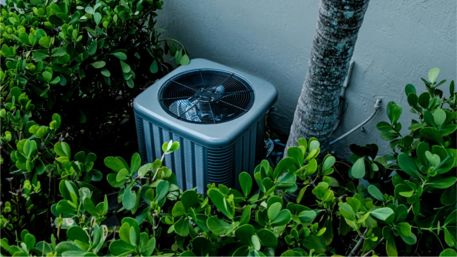 Rheem Classic Plus air conditioner installed beside a Miami home